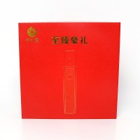 VVE Customized embossing foil V-groove cbd cartridge vape pen cardboard gift box