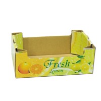 custom size corrugated paper tray box for fruit, fruit display box folding